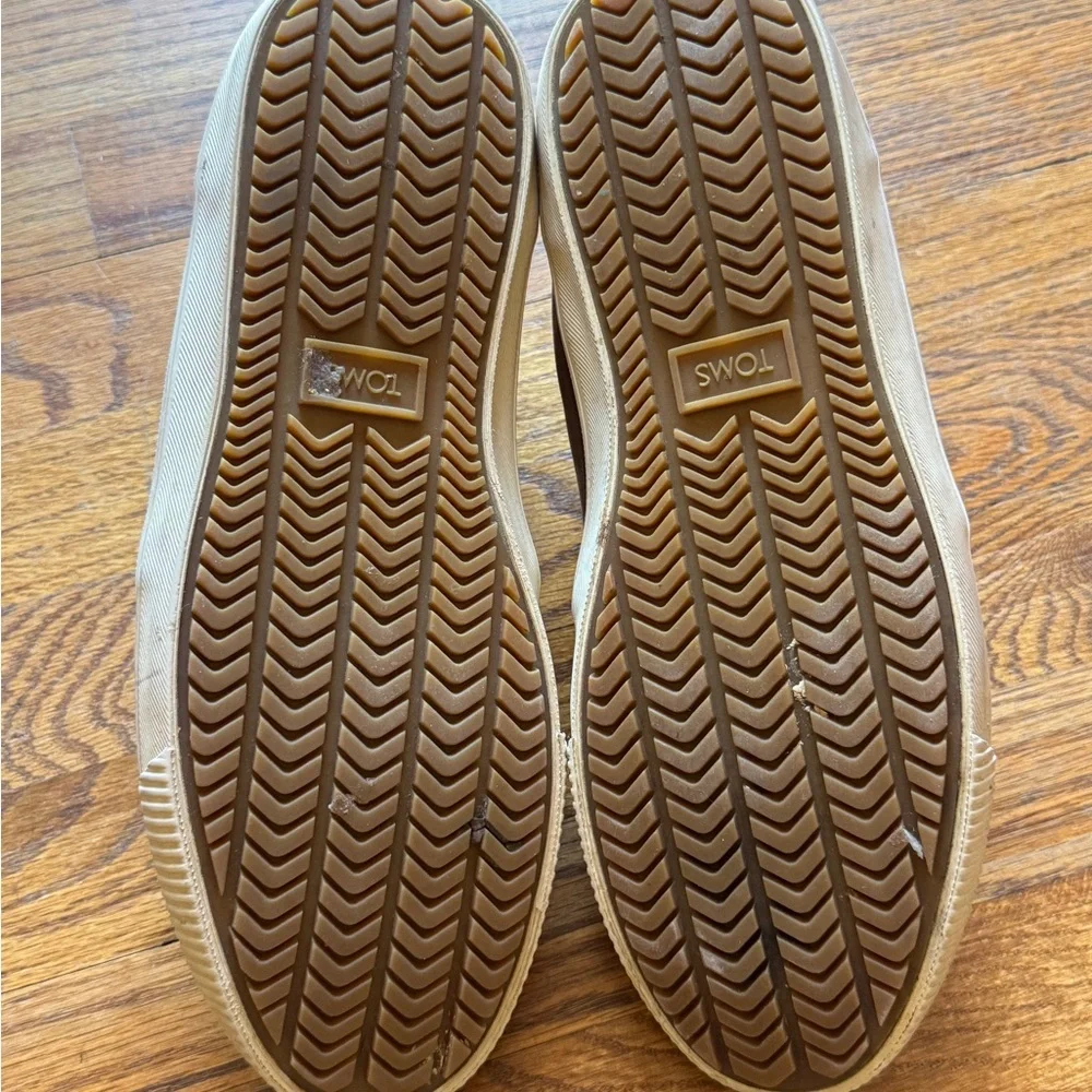 Toms stylish brown